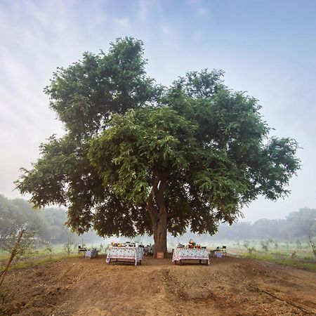 Mela Kothi - The Chambal Safari Lodge Bāh Εξωτερικό φωτογραφία