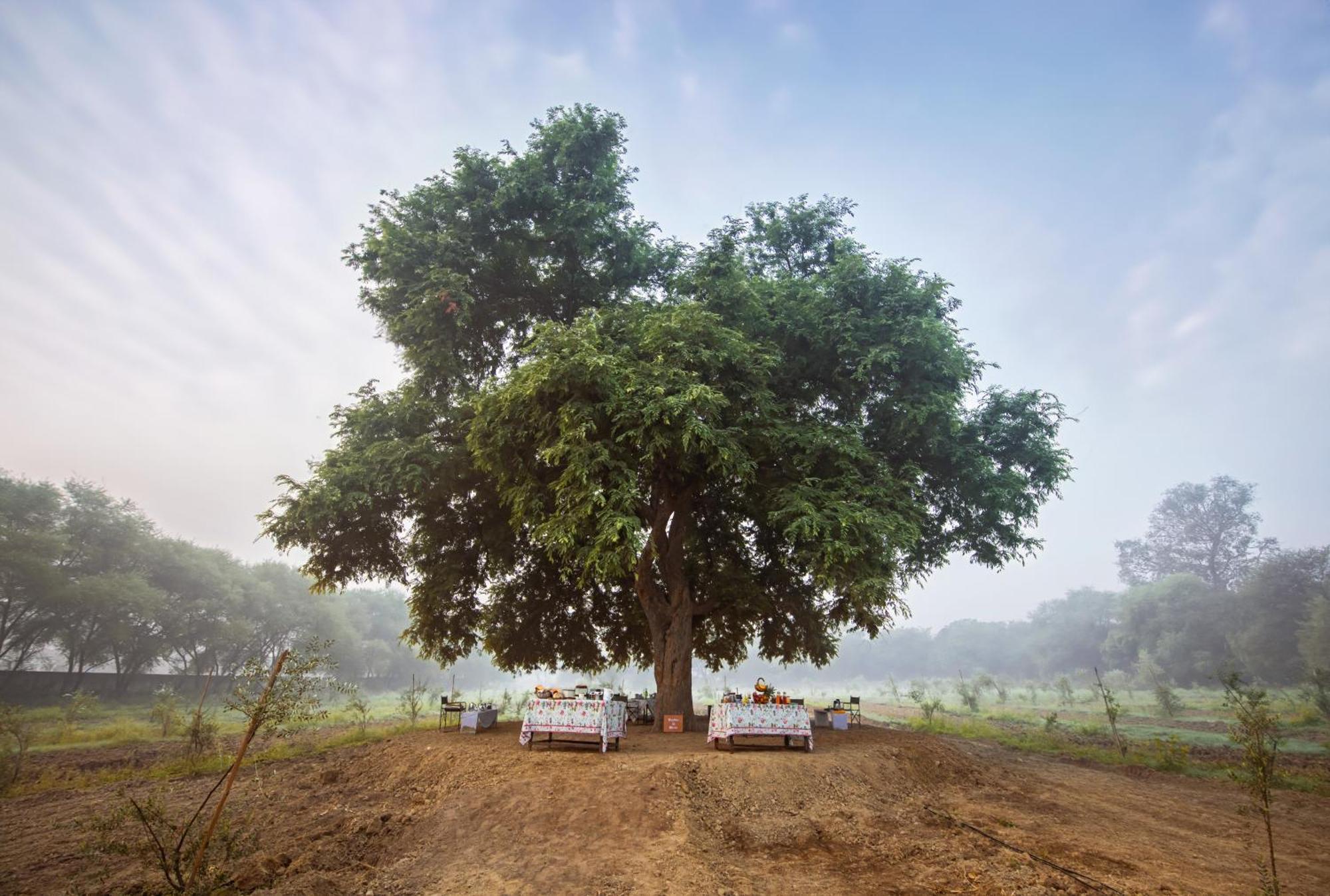 Mela Kothi - The Chambal Safari Lodge Bāh Εξωτερικό φωτογραφία
