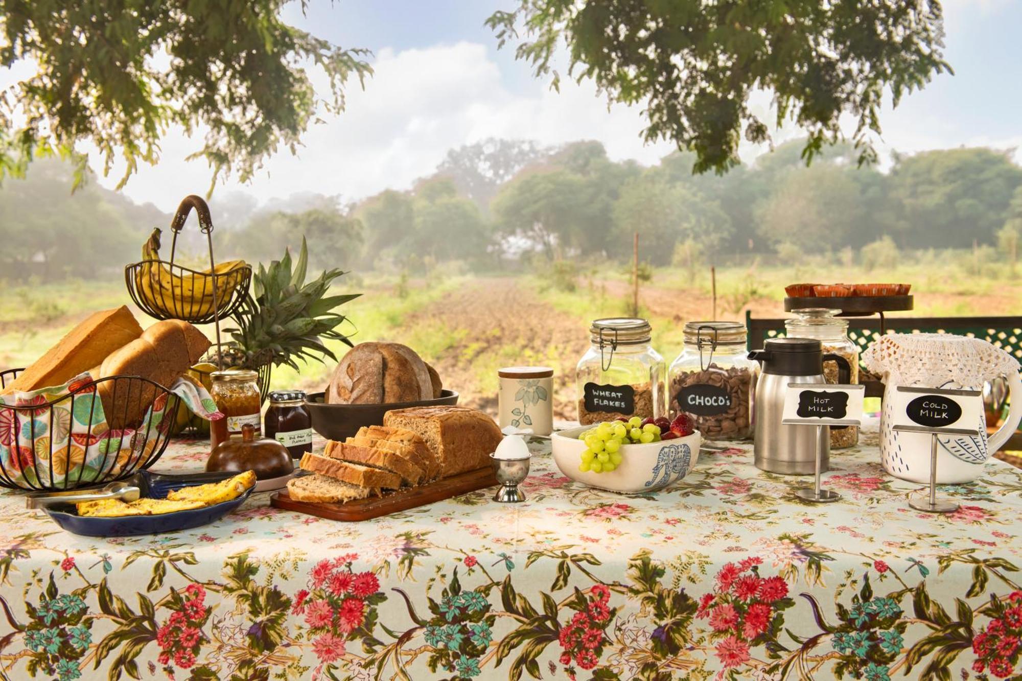 Mela Kothi - The Chambal Safari Lodge Bāh Εξωτερικό φωτογραφία