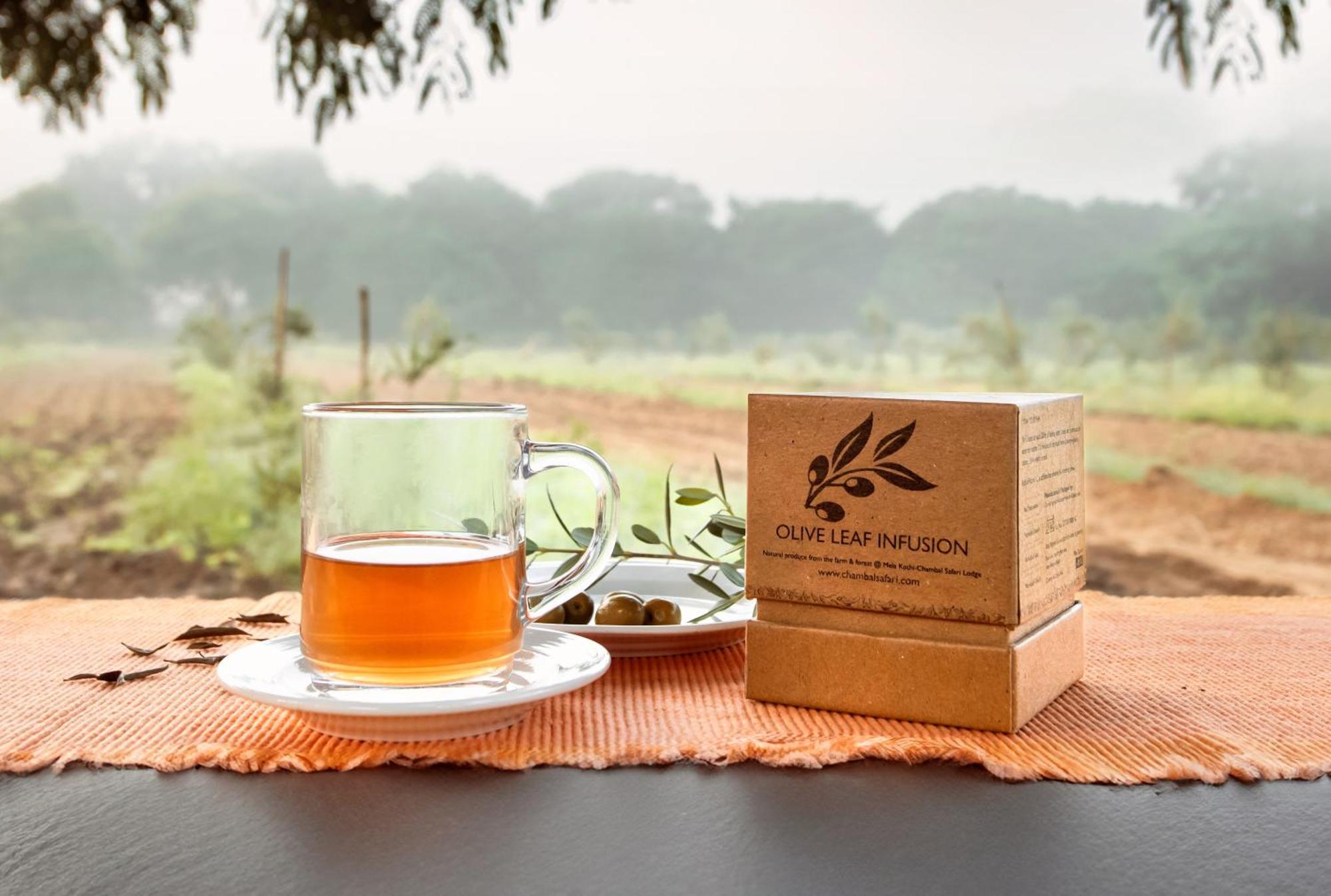 Mela Kothi - The Chambal Safari Lodge Bāh Εξωτερικό φωτογραφία