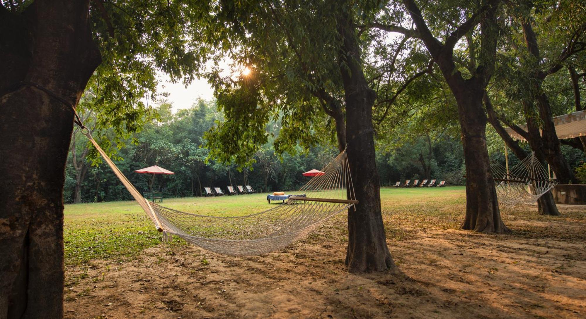 Mela Kothi - The Chambal Safari Lodge Bāh Εξωτερικό φωτογραφία