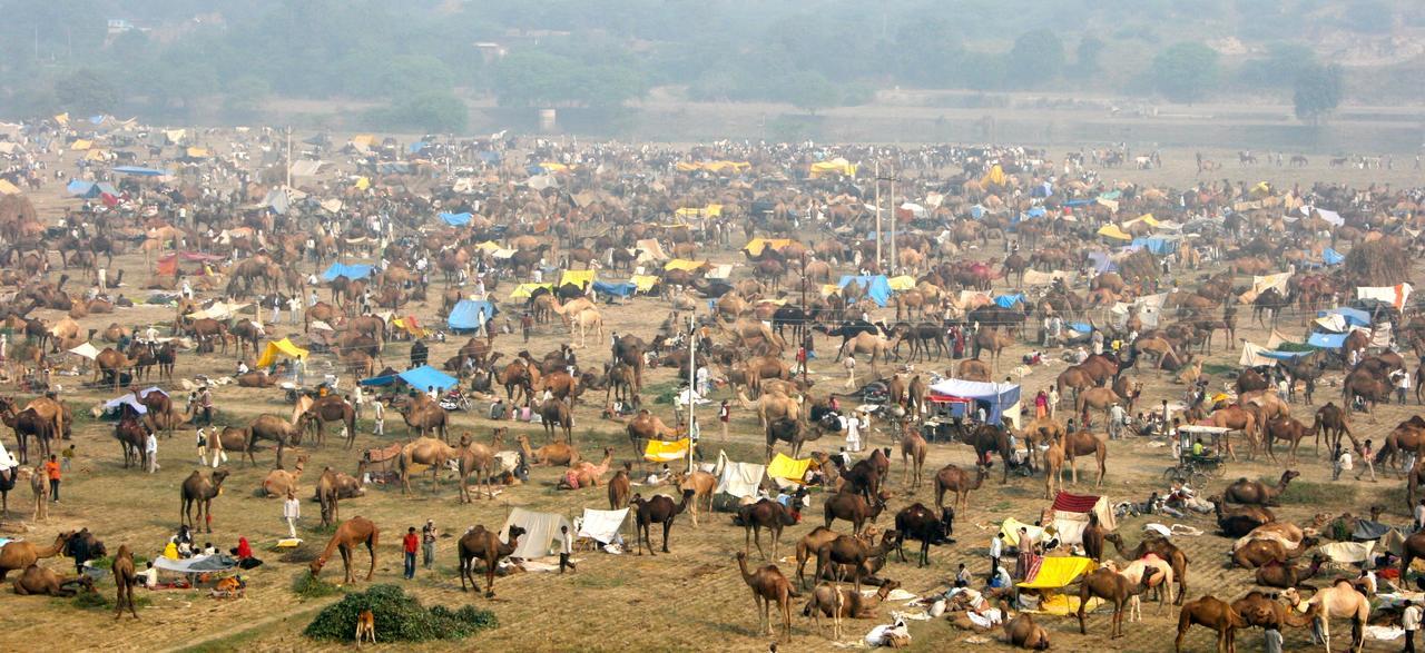 Mela Kothi - The Chambal Safari Lodge Bāh Εξωτερικό φωτογραφία